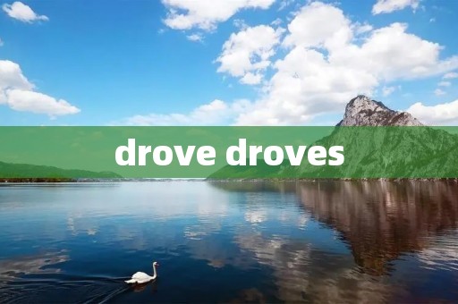drove droves drove droves