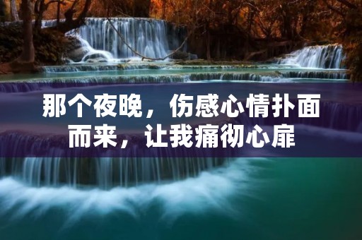 那个夜晚，伤感心情扑面而来，让我痛彻心扉