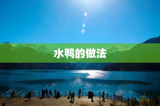 水鸭的做法：鲜嫩多汁的美味佳肴