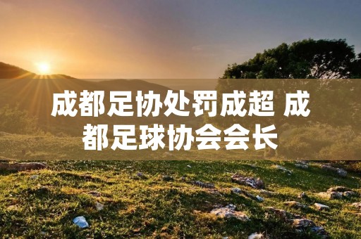 成都足协处罚成超 成都足球协会会长 成都足协处罚成超 成都足球协会会长