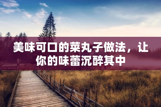 美味可口的菜丸子做法，让你的味蕾沉醉其中