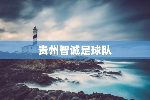 贵州智诚足球队:中国足球的闪耀之星 贵州智诚足球队:中国足球的闪耀之星