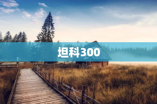 坦科300：领先科技打造的智能生活