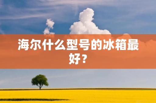 海尔什么型号的冰箱最好? 海尔什么型号的冰箱最好?