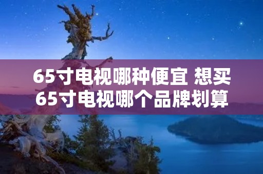 65寸电视哪种便宜 想买65寸电视哪个品牌划算一点 65寸电视哪种便宜 想买65寸电视哪个品牌划算一点