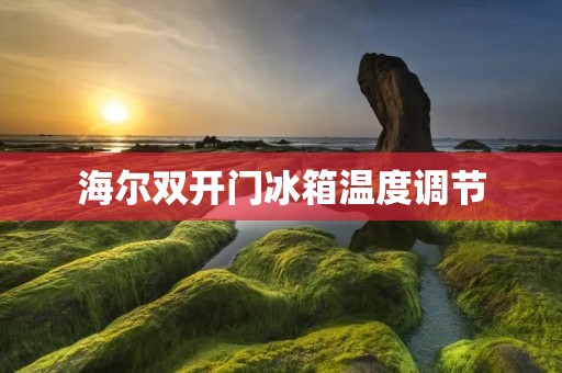 海尔**门冰箱温度调节:保鲜技巧与使用方法解析 海尔**门冰箱温度调节:保鲜技巧与使用方法解析