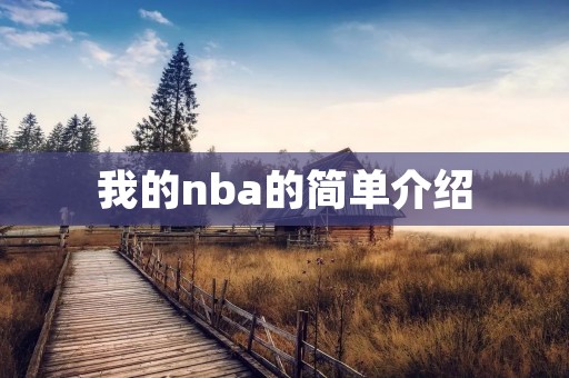 我的nba的简单介绍