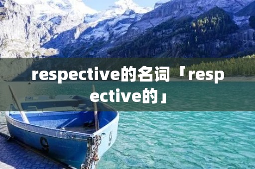 respective的名词「respective的」