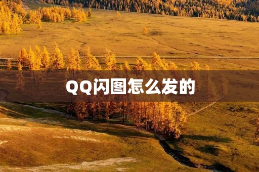 QQ闪图怎么发的