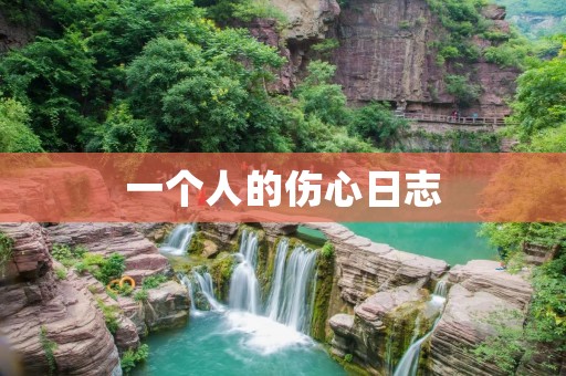 一个人的伤心日志:背负着心碎的痛,寻找温暖的力量