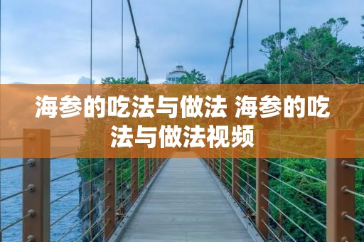 海参的吃法与做法 海参的吃法与做法视频