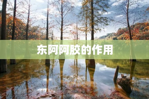 东阿阿胶的作用:保健养生,滋补身体,延缓衰老