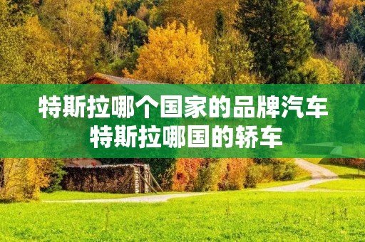 特斯拉哪个国家的品牌汽车 特斯拉哪国的轿车 特斯拉哪个国家的品牌汽车 特斯拉哪国的轿车