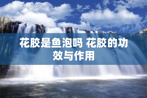 花胶是鱼泡吗 花胶的功效与作用 花胶是鱼泡吗 花胶的功效与作用