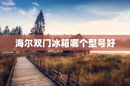 海尔双门冰箱哪个型号好 海尔双门冰箱哪个型号好