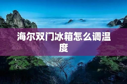 海尔双门冰箱怎么调温度