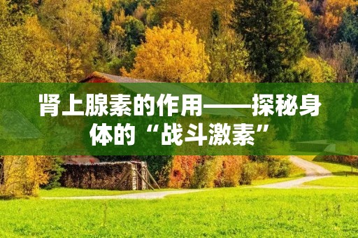 肾上腺素的作用——探秘身体的“战斗激素”