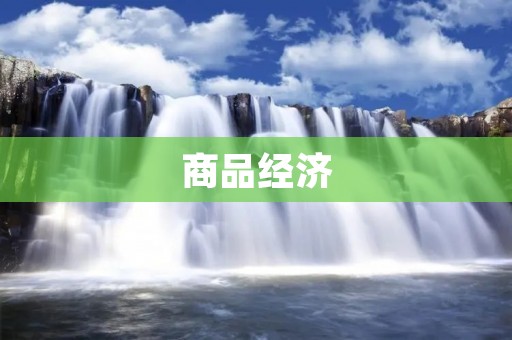 商品经济：全球消费驱动力的催化剂