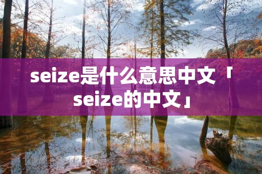 seize是什么意思中文「seize的中文」 seize是什么意思中文「seize的中文」