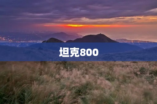 坦克800:全面升级,再创辉煌 坦克800:全面升级,再创辉煌