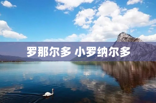 罗那尔多 小罗纳尔多