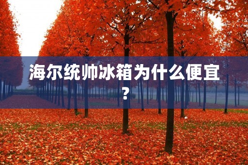 海尔统帅冰箱为什么便宜？
