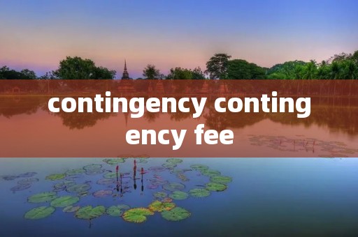 contingency contingency fee
