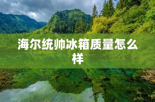 海尔统帅冰箱质量怎么样 海尔统帅冰箱质量怎么样