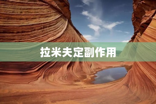 拉米夫定副作用:详细描述