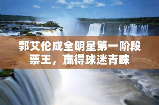 郭艾伦成全明星第一阶段票王,赢得球迷青睐 郭艾伦成全明星第一阶段票王,赢得球迷青睐