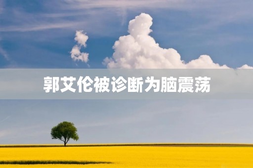 郭艾伦被诊断为脑震荡：一位勇敢的篮球战士的伤病揭示