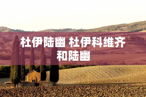 杜伊陆幽 杜伊科维齐和陆幽
