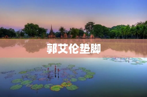 郭艾伦垫脚：一位热爱篮球的年轻人的成长之路