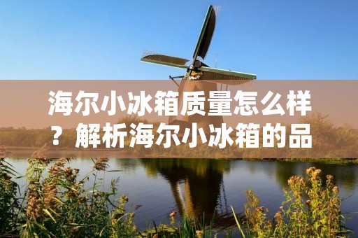 海尔小冰箱质量怎么样?解析海尔小冰箱的品质特点 海尔小冰箱质量怎么样?解析海尔小冰箱的品质特点