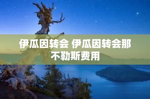 伊瓜因转会 伊瓜因转会那不勒斯费用