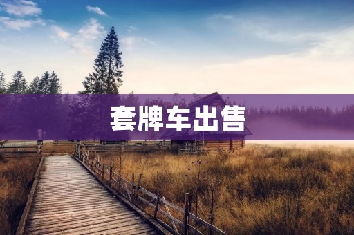 ***出售：揭开黑市交易的幕后