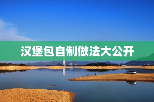 汉堡包自制做法大公开 汉堡包自制做法大公开