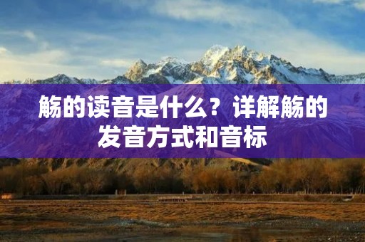 觞的读音是什么？详解觞的发音方式和音标