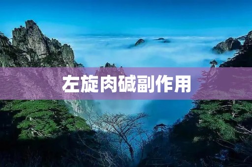 左旋肉碱副作用:解析其对人体的潜在影响