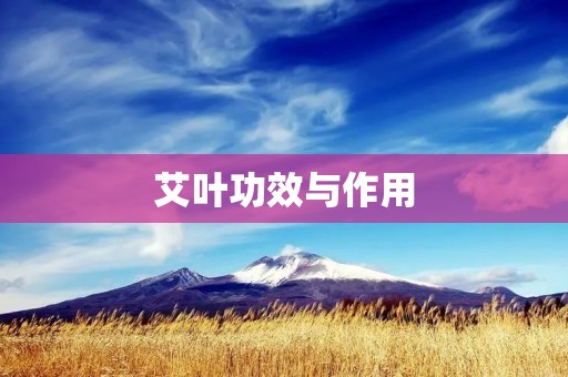 艾叶功效与作用:深入了解这个神奇植物的奥秘
