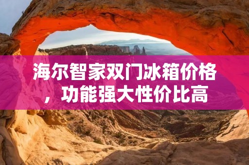 海尔智家双门冰箱价格，功能强大性价比高