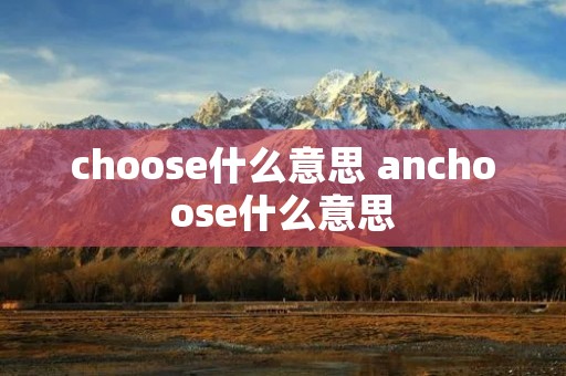 choose什么意思 anchoose什么意思