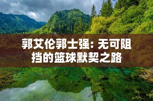 郭艾伦郭士强: 无可阻挡的篮球默契之路 郭艾伦郭士强: 无可阻挡的篮球默契之路