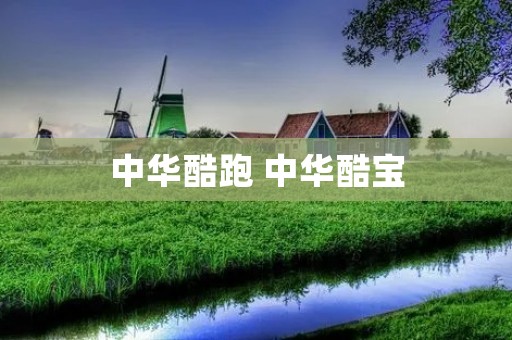 中华酷跑 中华酷宝
