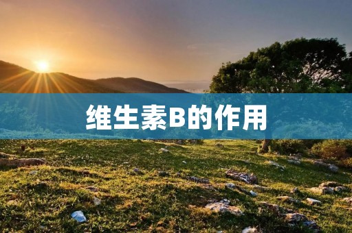 维生素B的作用:探寻身体健康的秘密