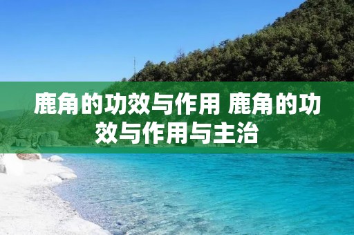 鹿角的功效与作用 鹿角的功效与作用与主治