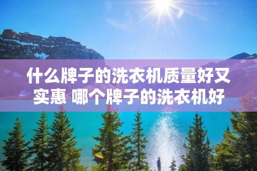 什么牌子的洗衣机质量好又实惠 哪个牌子的洗衣机好用又实惠