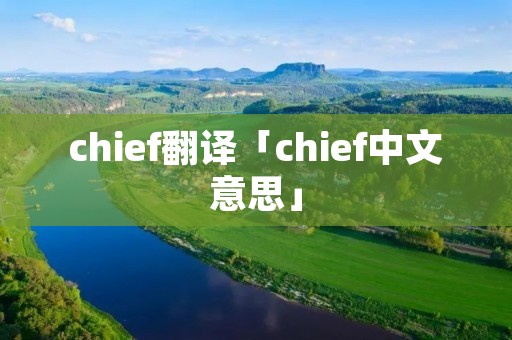 chief翻译「chief中文意思」