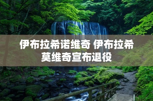 伊布拉希诺维奇 伊布拉希莫维奇宣布退役 伊布拉希诺维奇 伊布拉希莫维奇宣布退役