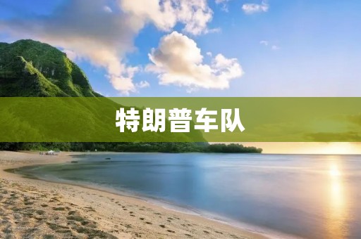 特朗普车队：美国总统座驾的华丽队列
